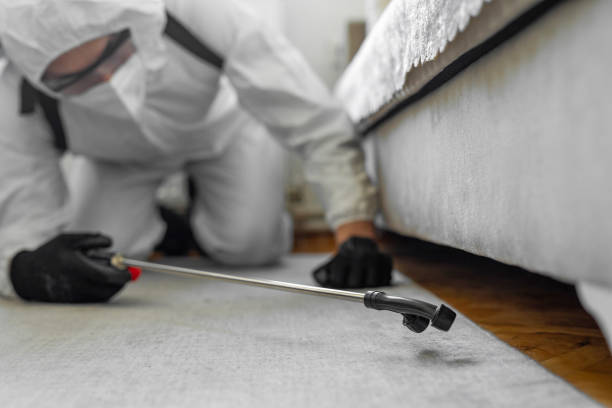 Professional Termite Control technician working in Rockwell, AR