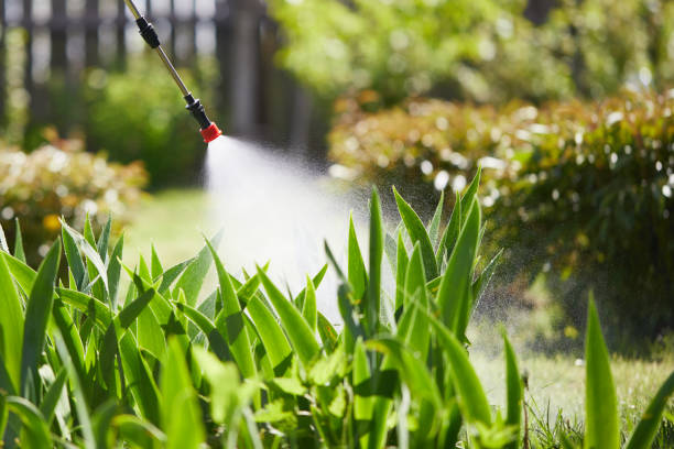 24/7 Emergency Termite Control experts in Rockwell, AR